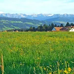 Allgäu Garni