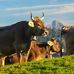 Szálloda Allgaeu Garni