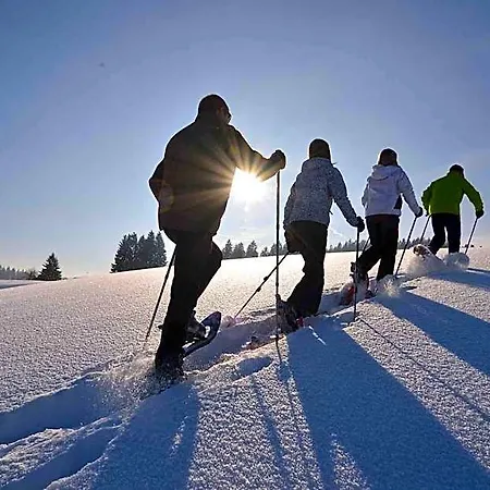 Allgaeu Garni