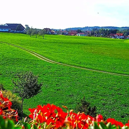 Отель Allgaeu Garni Шайдегг