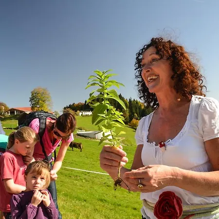 Allgaeu Garni 3* שיידג