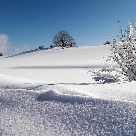Allgaeu Garni 3*