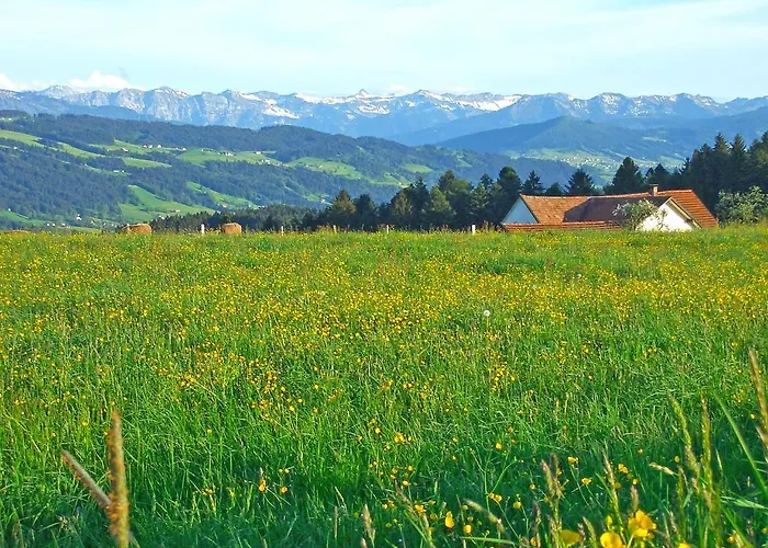 Allgaeu Garni